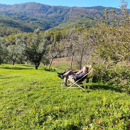 Stio Agriturismo Li Guiraヴィラ エクステリア 写真